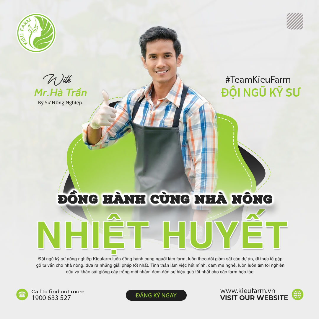 Trần Văn Hà
