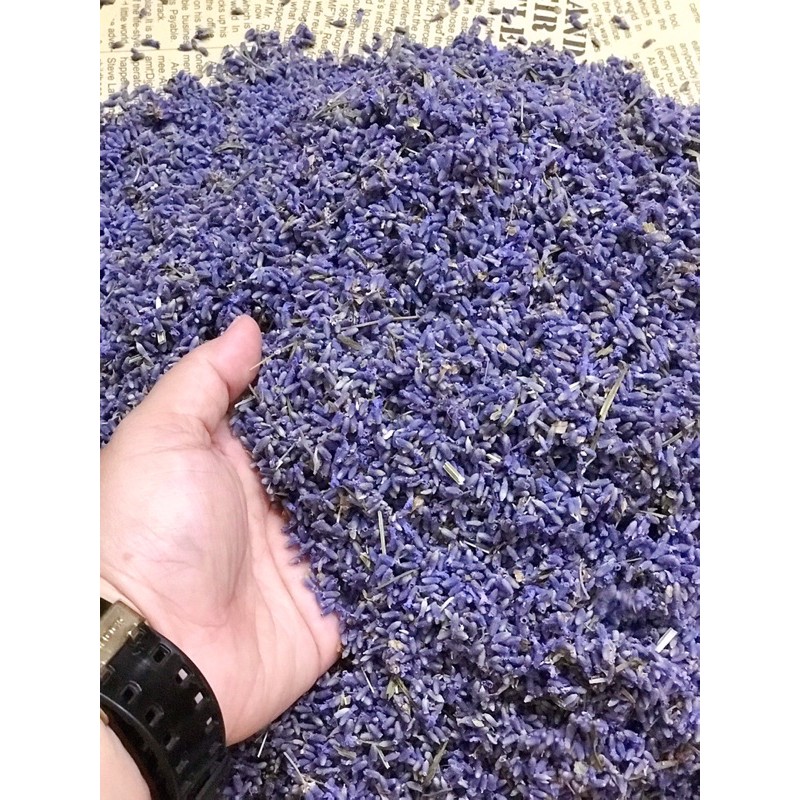 lavender_kho_giong_dep_03