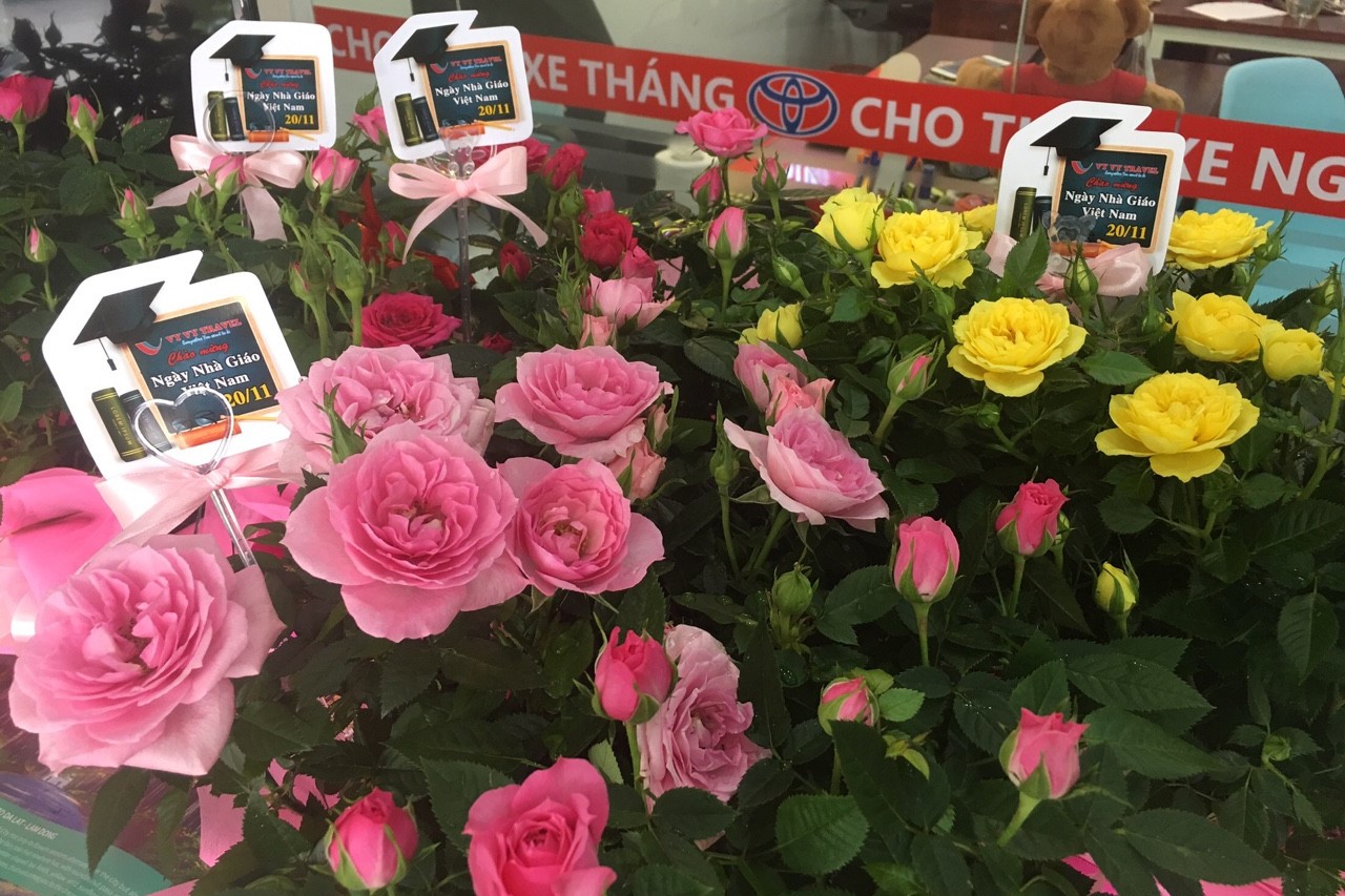 chuc-mung-ngay-nha-giao-viet-nam-20-11
