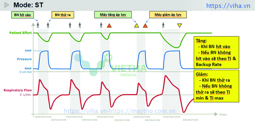 Các dòng máy thở BiPAP