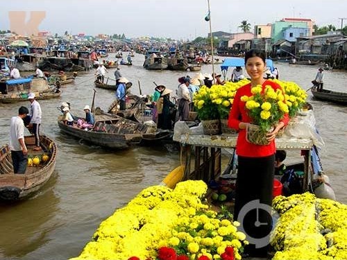 TOUR DU LỊCH MỸ THO - BẾN TRE -  CẦN THƠ - CHỢ NỔI