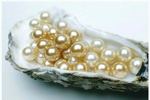 TOUR DU LỊCH SÔNG NƯỚC MIỀN TÂY - BIỂN ĐẢO PHÚ QUỐC