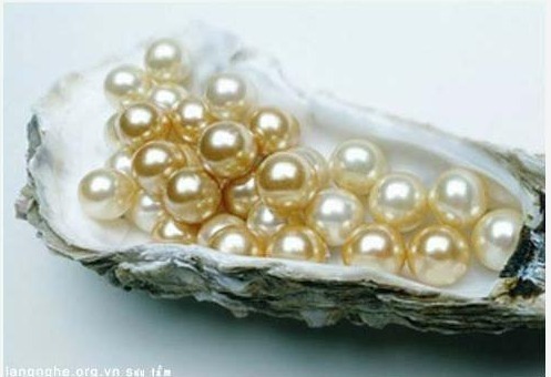 TOUR DU LỊCH KHÁM PHÁ SÔNG NƯỚC MIỀN TÂY - ĐẢO PHÚ QUỐC