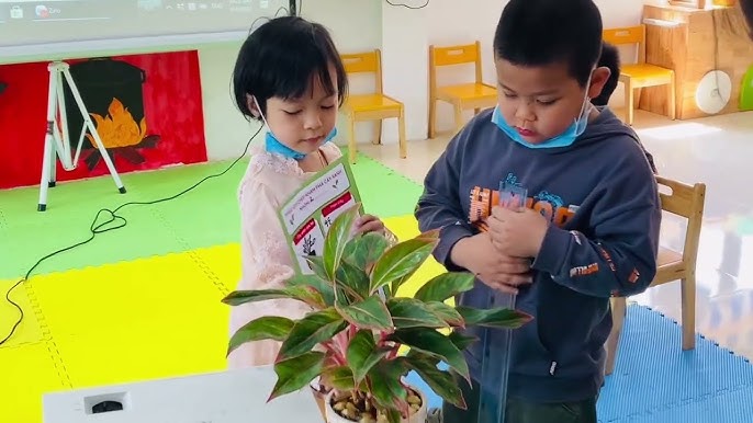 Giáo án STEAM tạo hình cây xanh: Học qua khám phá và sáng tạo