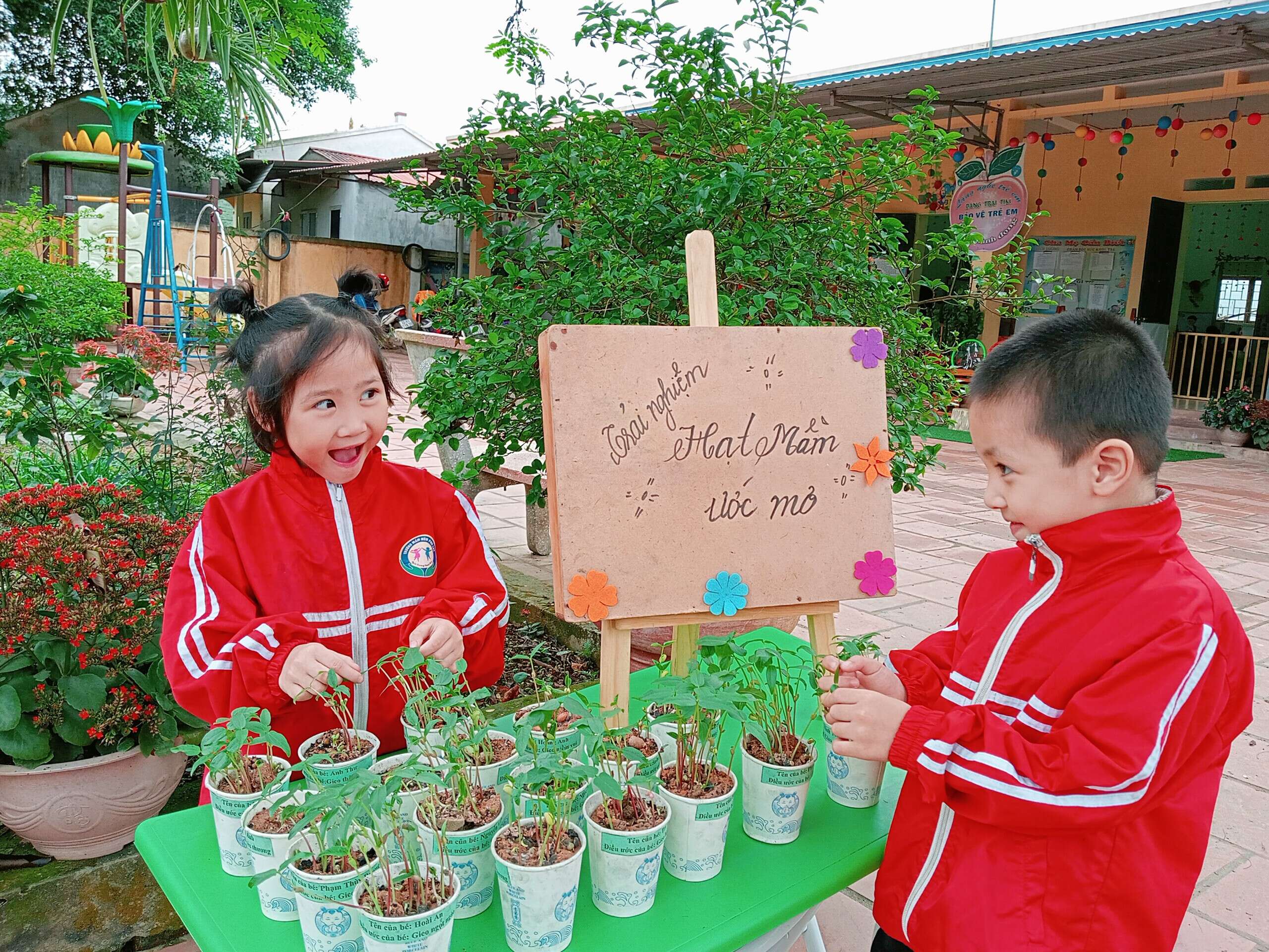 Giáo án STEAM tạo hình cây xanh: Học qua khám phá và sáng tạo