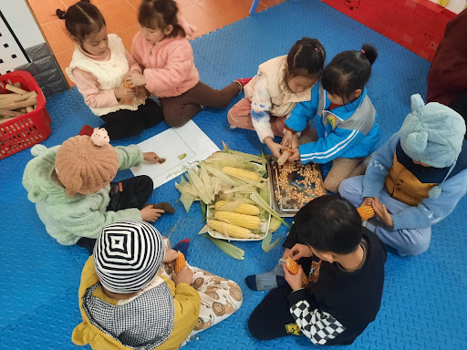 Giáo án STEAM 4 5 tuổi khám phá: Nhận thức thế giới xung quanh