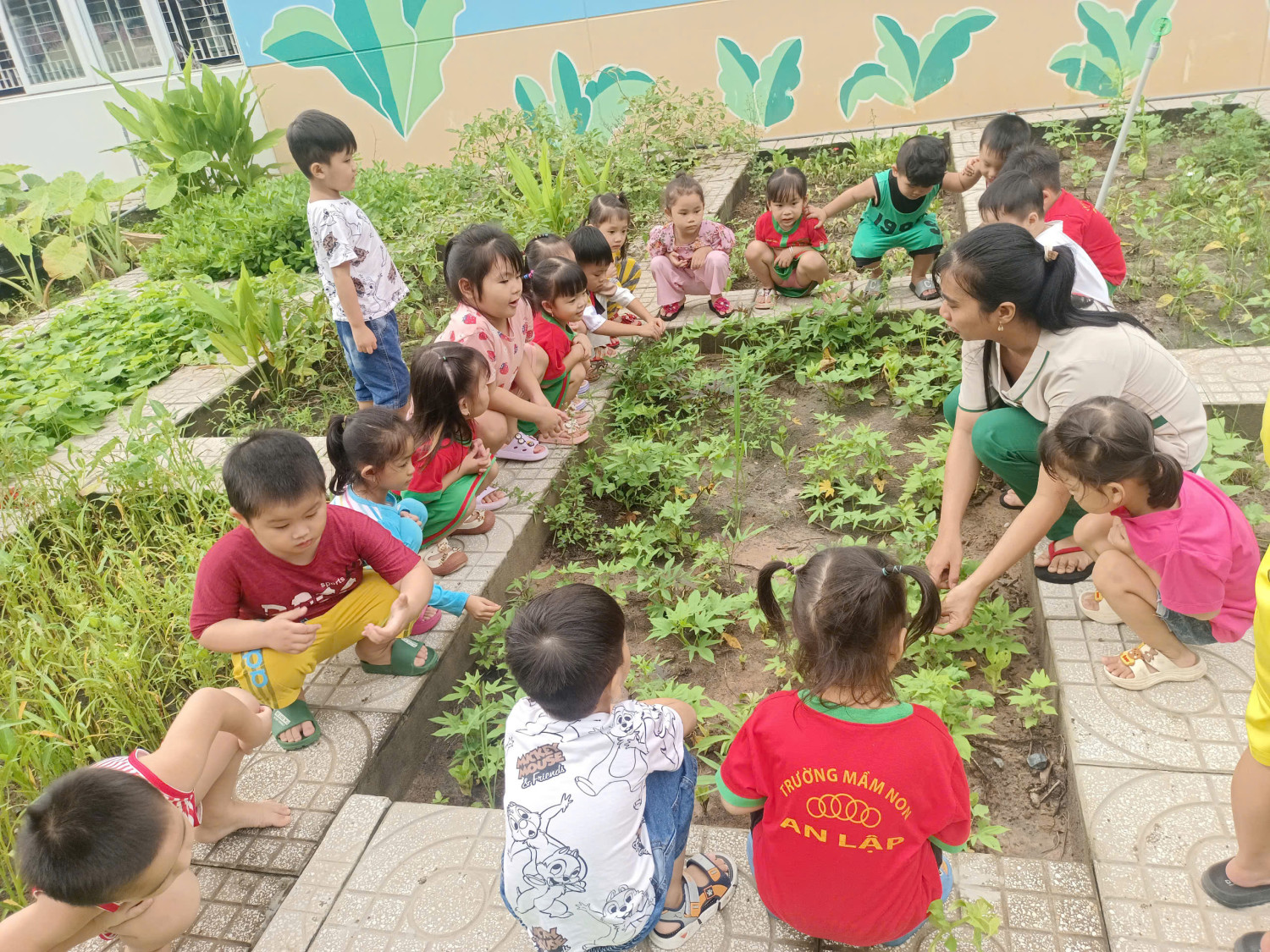 Giáo án STEAM 4 5 tuổi chủ đề thực vật – Khơi gợi ý tưởng, phát triển đam mê