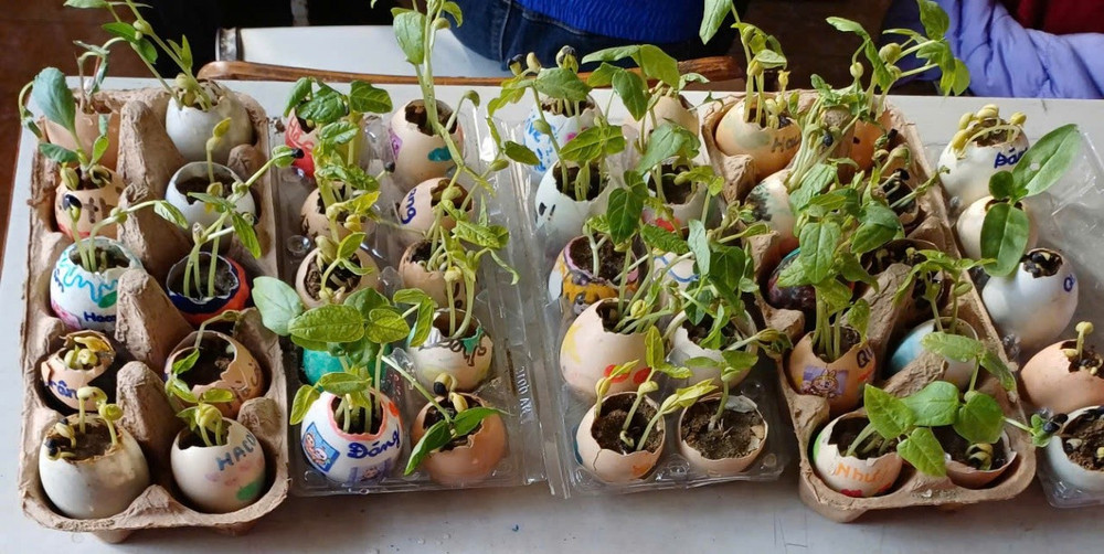 Giáo án STEM lớp 5 tích hợp liên môn theo định hướng mới