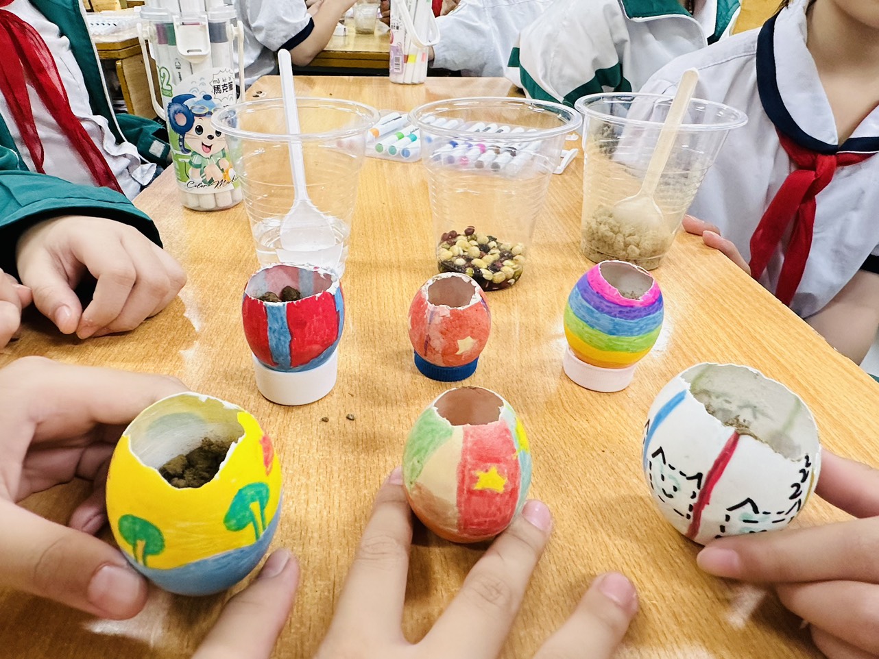 Khám phá giáo án STEM lớp 5 trồng cây trong vỏ trứng