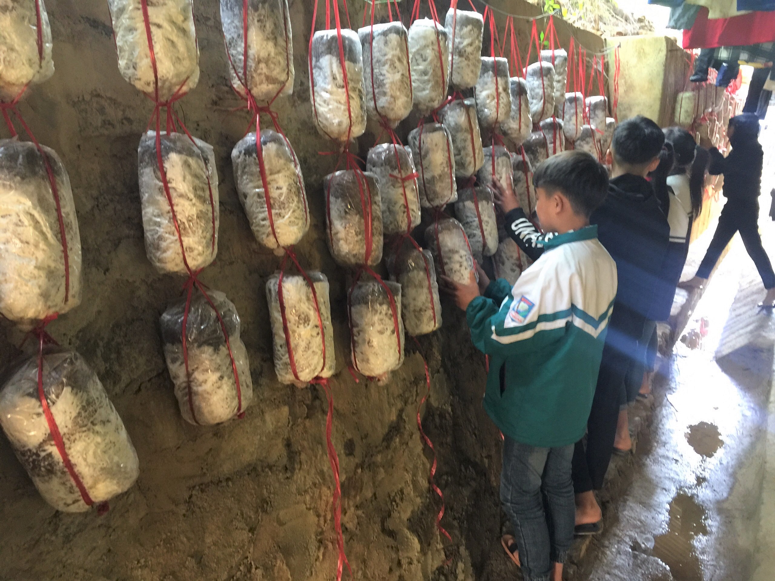 Tổng hợp các ý tưởng STEM hay THPT giúp học sinh tỏa sáng