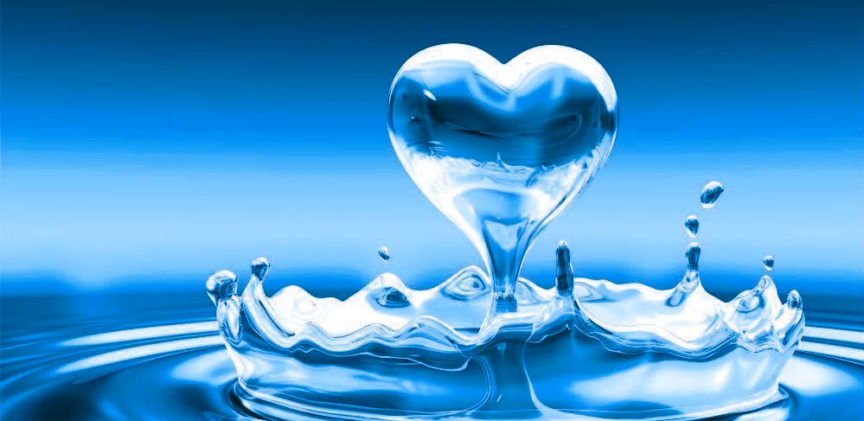 Cách soạn giáo án STEM môn khoa học lớp 4 hiệu quả nhất