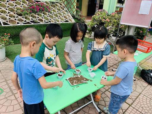 Giáo án STEAM 3 4 tuổi chủ đề thực vật kích thích sáng tạo, tư duy logic