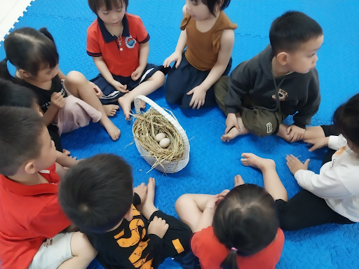 Giáo án STEAM khám phá con gà – Kết hợp giữa khoa học và nghệ thuật