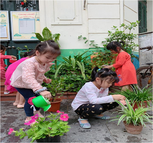 Giáo án STEAM 3 4 tuổi chủ đề thực vật kích thích sáng tạo, tư duy logic