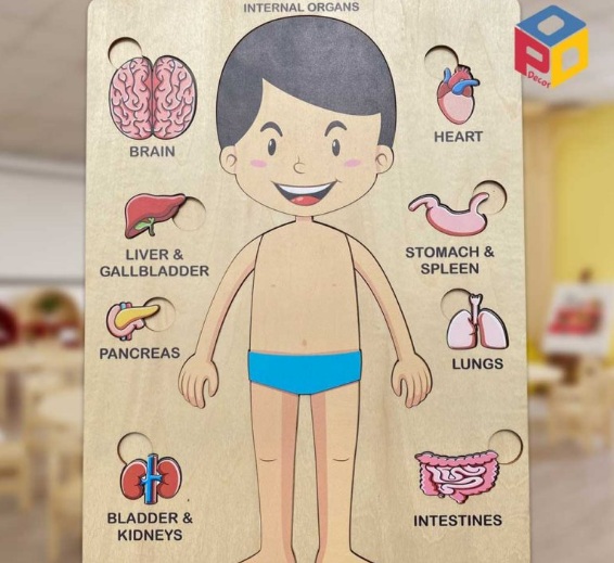 Giáo án STEAM 4 5 tuổi chủ đề bản thân - Cách xây dựng và ứng dụng hiệu quả