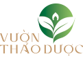 | mua rẻ hơn tại Vuonthaoduoc.vn