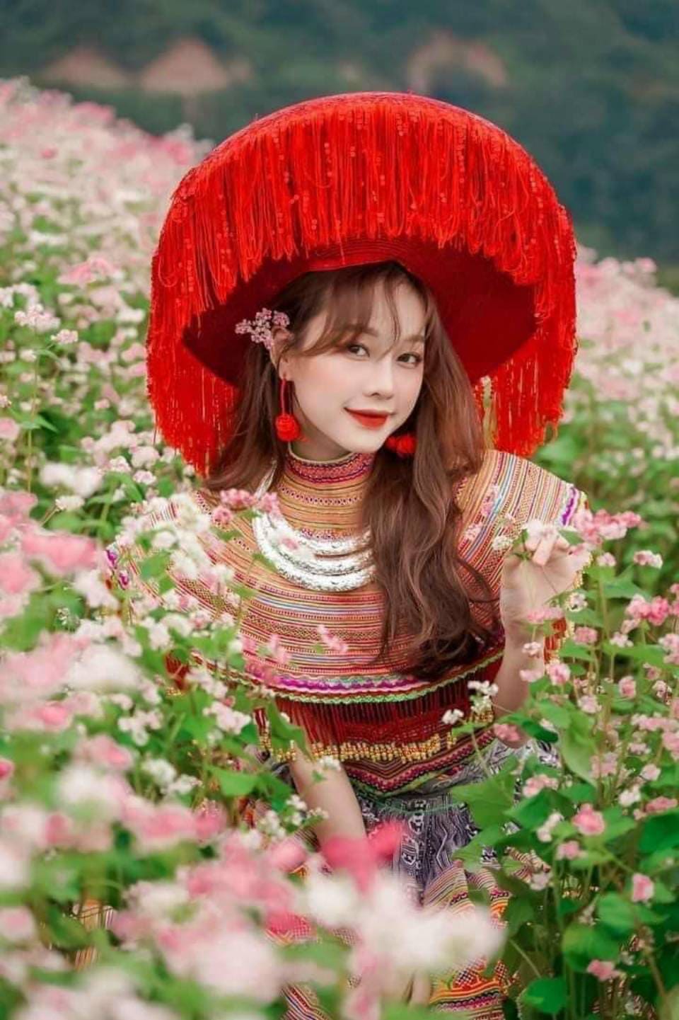 kinh nghiệm chụp ảnh hoa tam giác mạch