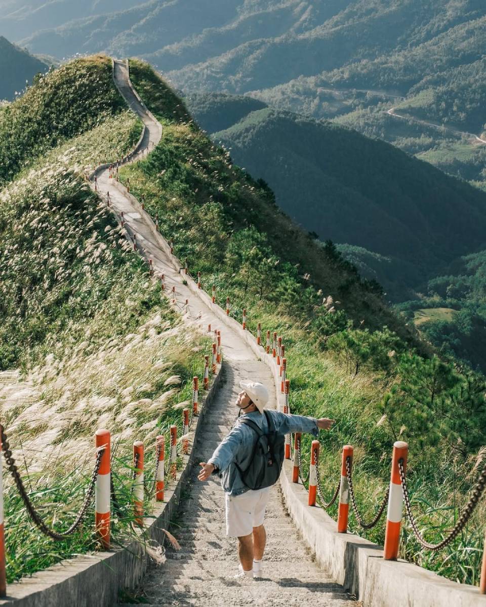 Kinh nghiệm xương máu khi săn hoa lau tại Bình Liêu