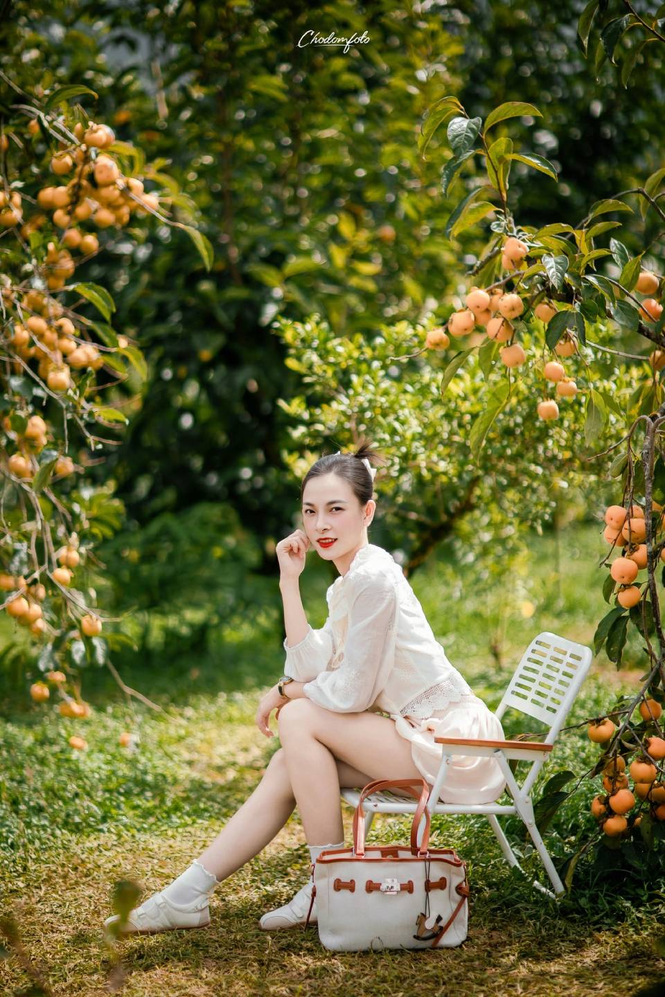 Check in Mộc Châu mùa hồng chín