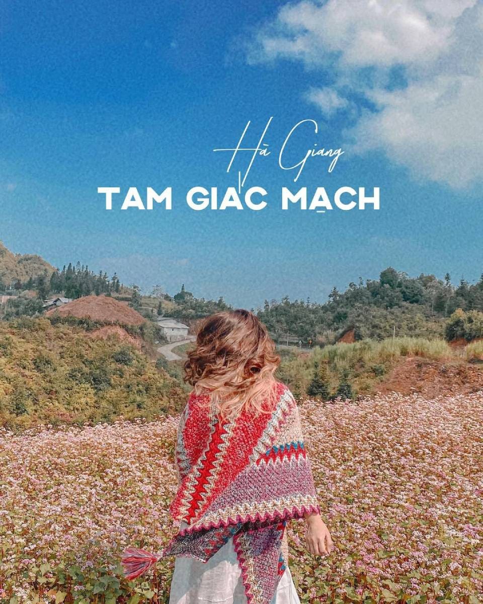 hà giang mùa tam giác mạch