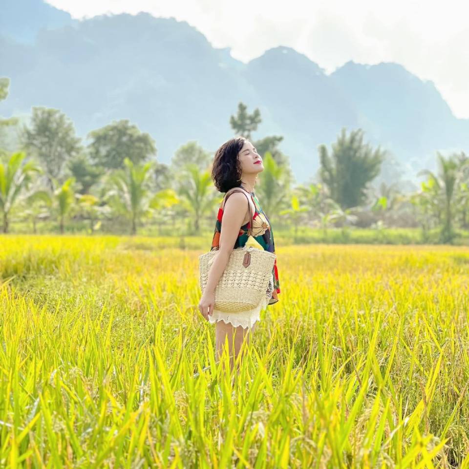 Hít hà hương lúa chín tại Mai Châu