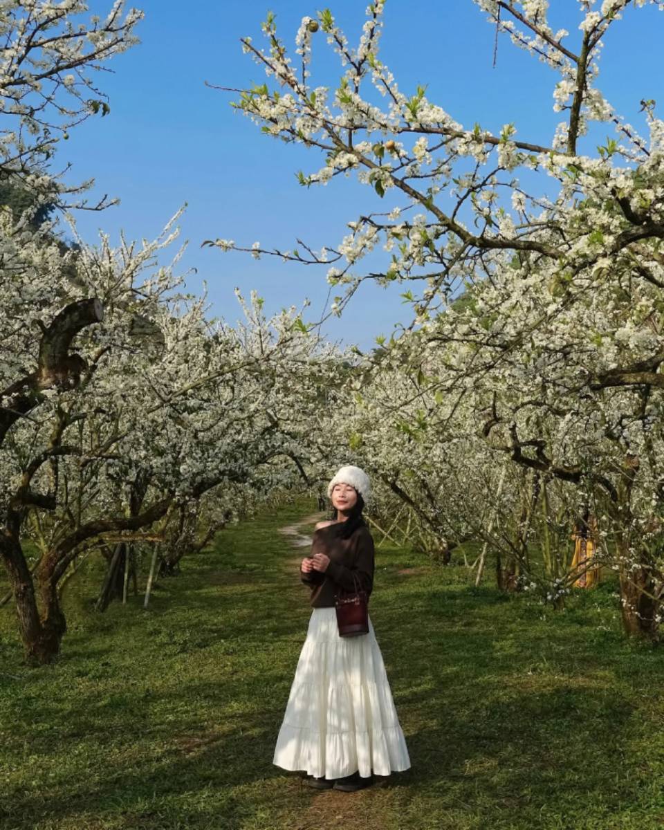 Du lịch Mộc Châu mùa hoa khoe sắc