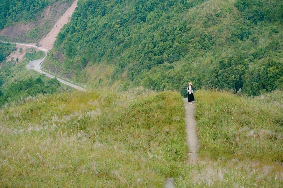 Bình Liêu vào mùa hoa lau những ngày cuối thu