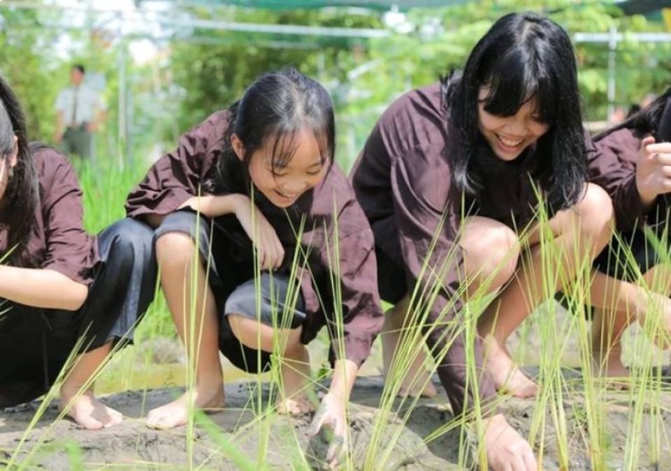 Chương trình trải nghiệm cực hay tại các nông trại giáo dục