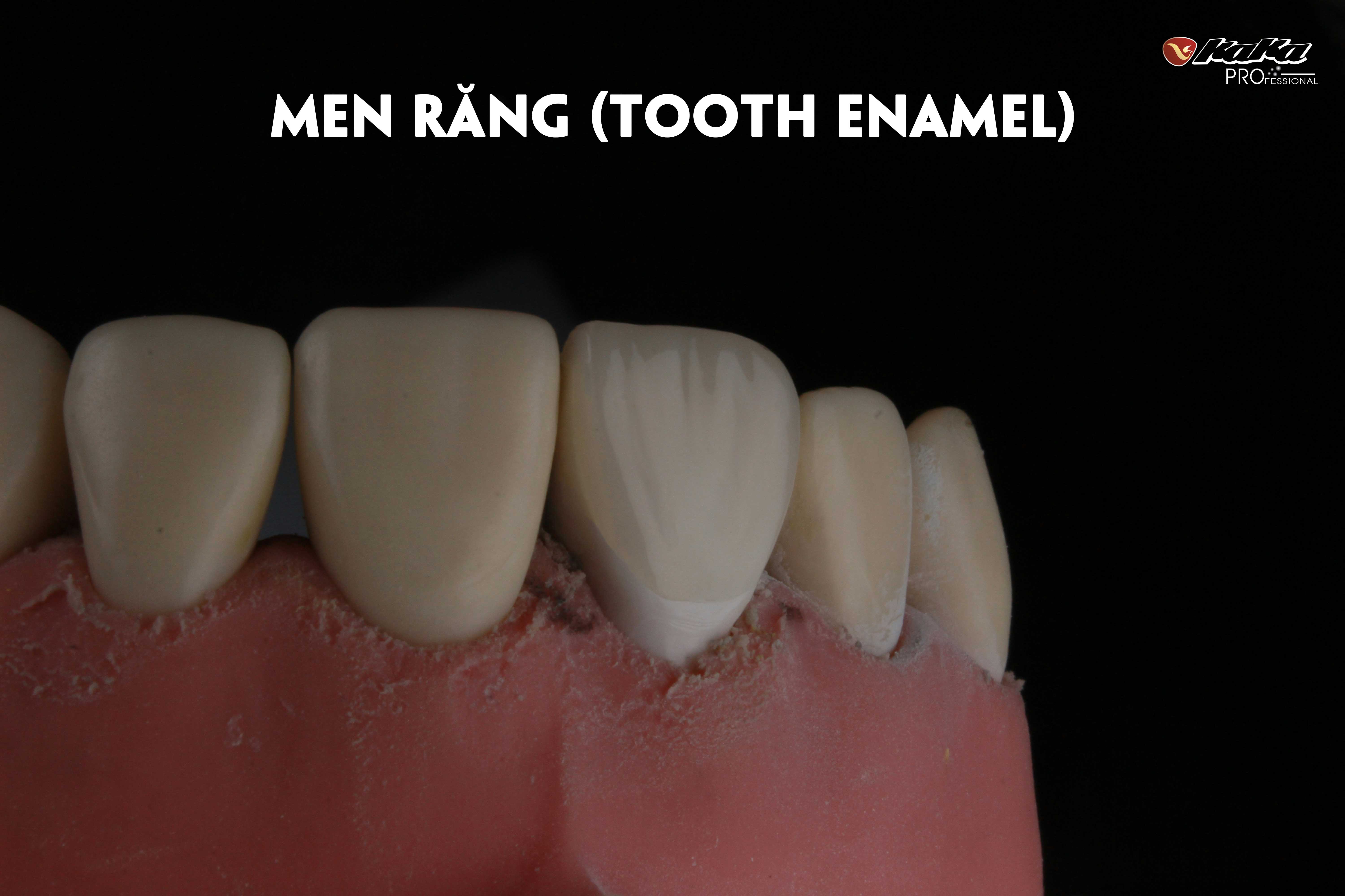 Men răng là lớp ngoài cùng bao phủ và bảo vệ men răng