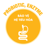 foodplus.vn