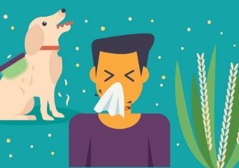 HOW TO DEFEAT SEASONAL ALLERGIES WITH EASY STEPS HOW TO DEFEAT SEASONAL ALLERGIES WITH EASY STEPS