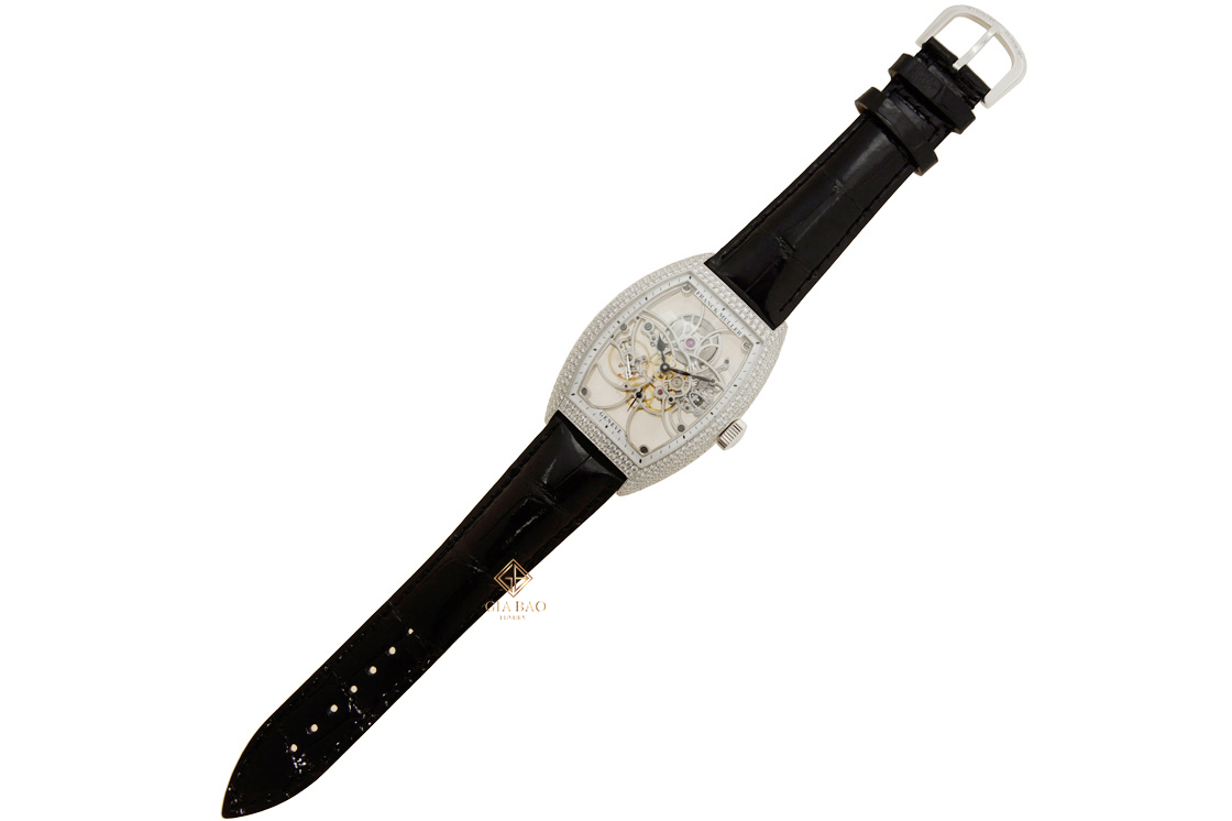 Franck Muller Cintree Curvex 8880 B S6 SQT D (OG) Đồng Hồ Franck Muller Cintree Curvex 8880 B S6 SQT D (OG)