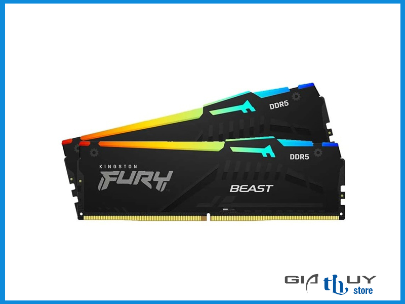 RAM DDR 5 thương hiệu Kingston