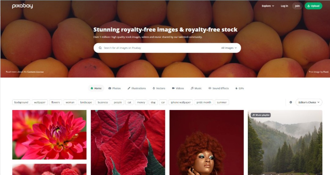 nguồn ảnh sắc nét từ Pixabay