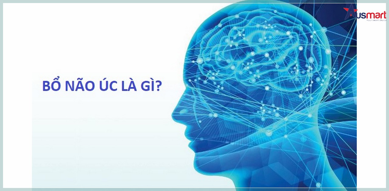 Bổ Não Của Úc Là Gì