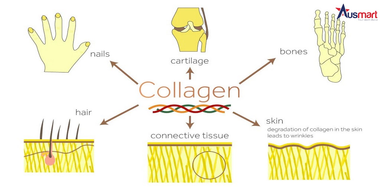 Collagen Úc là gì