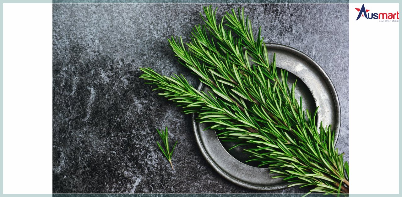 Hương thảo - thành phần bổ não úc