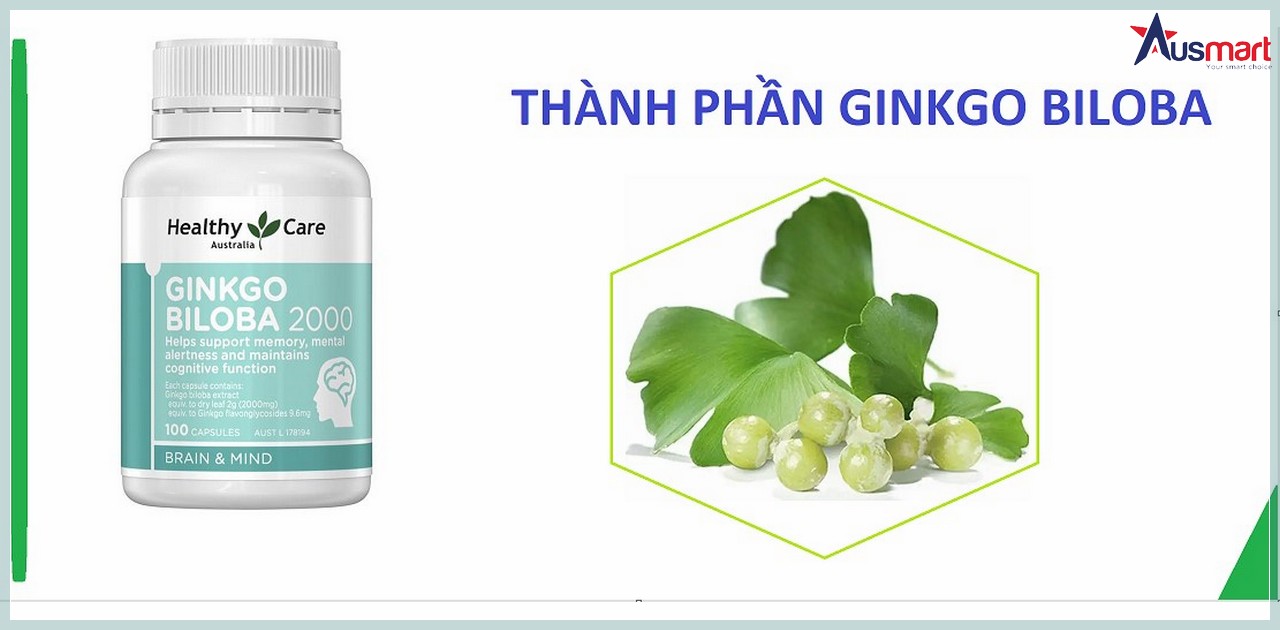Ginkgo Biloba (Bạch quả) thành phần trong bổ não úc