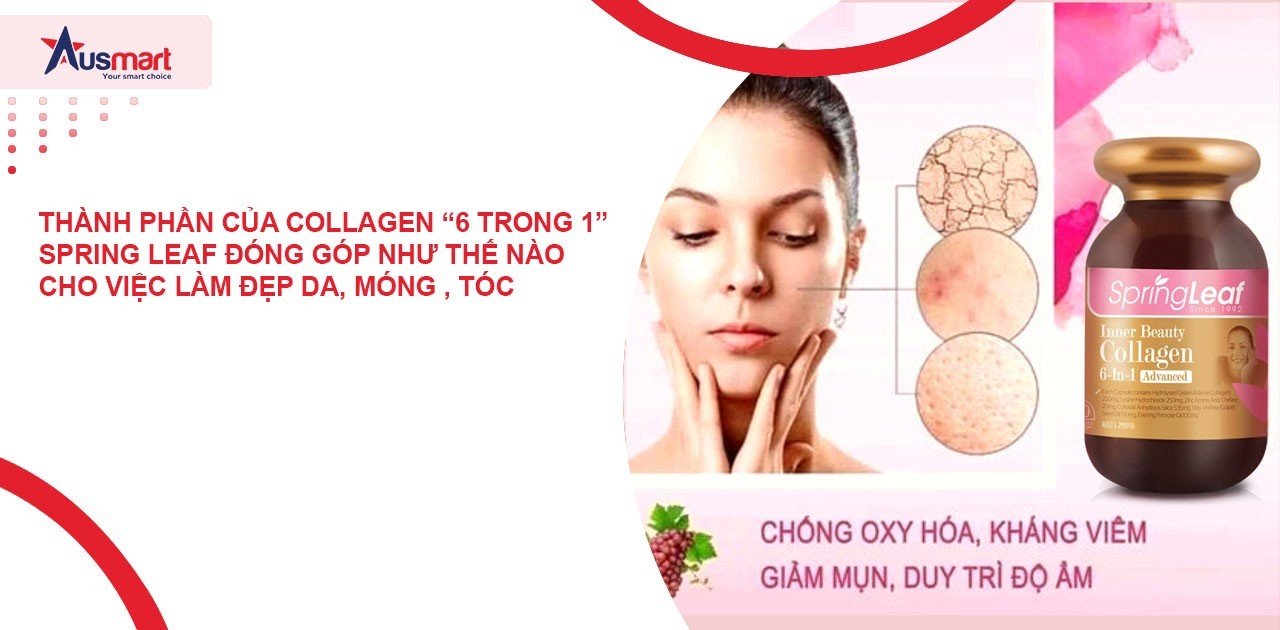 Thành phần của Collagen “6 Trong 1” Spring Leaf đóng góp như thế nào cho việc làm đẹp da, móng , tóc?