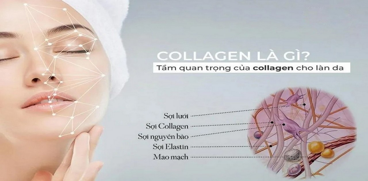 Tinh Dầu Hoa Anh Thảo Kết Hợp Collagen