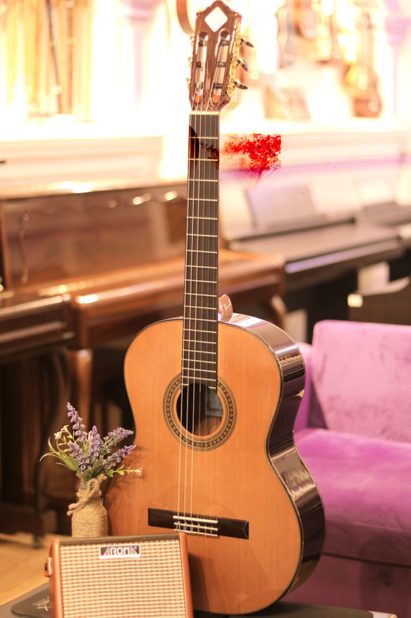 Địa điểm bán Guitar chính hãng TPHCM