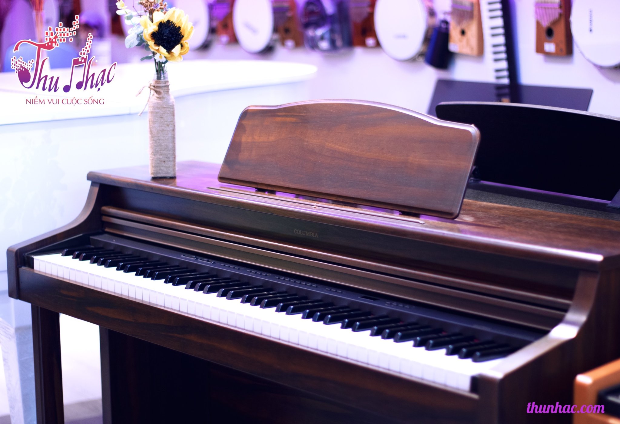 ( Nên mua Piano cơ hay Piano điện?)