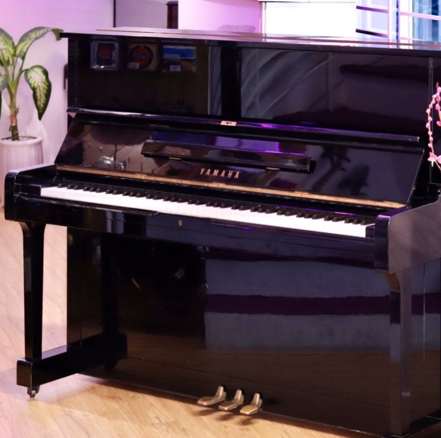 (Địa điểm mua đàn piano tại TP.HCM uy tín)