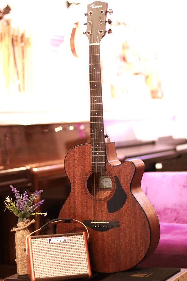 Guitar Acoustic của thương hiệu ROSEN