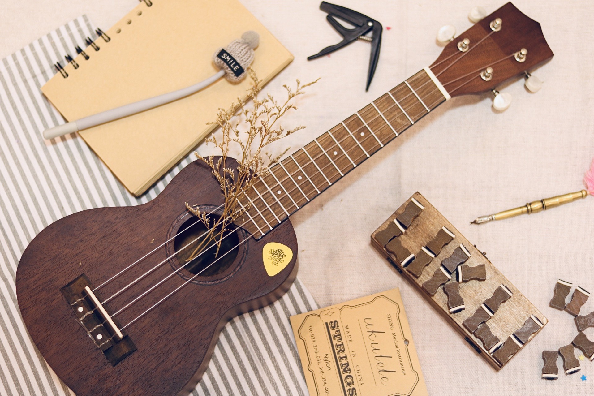 (Địa điểm mua đàn ukulele chính hãng tphcm)