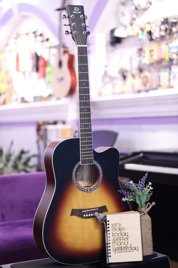 Guitar Acoustic của thương hiệu TOKADO 