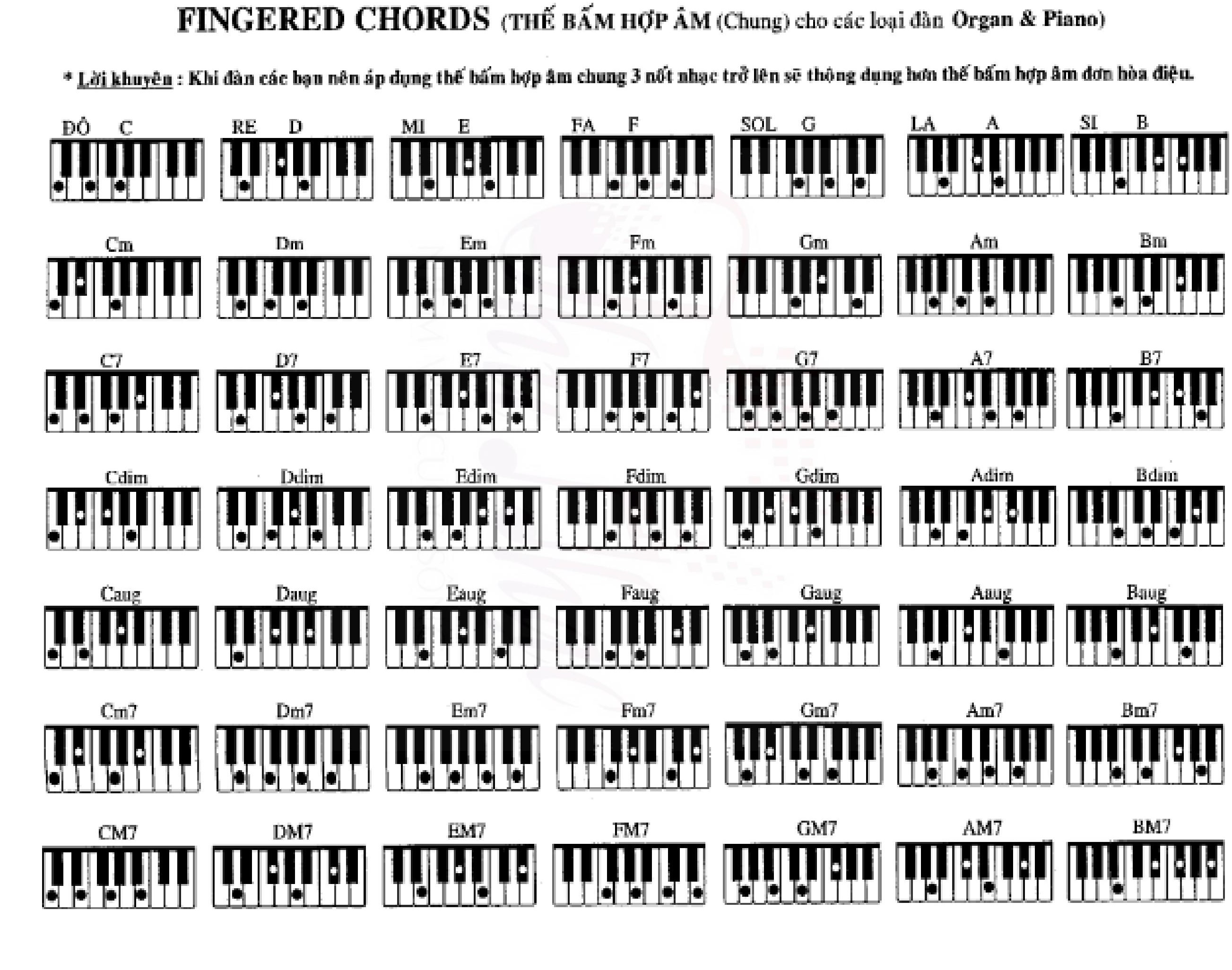 Các hợp âm organ cơ bản cần nắm khi mới chơi