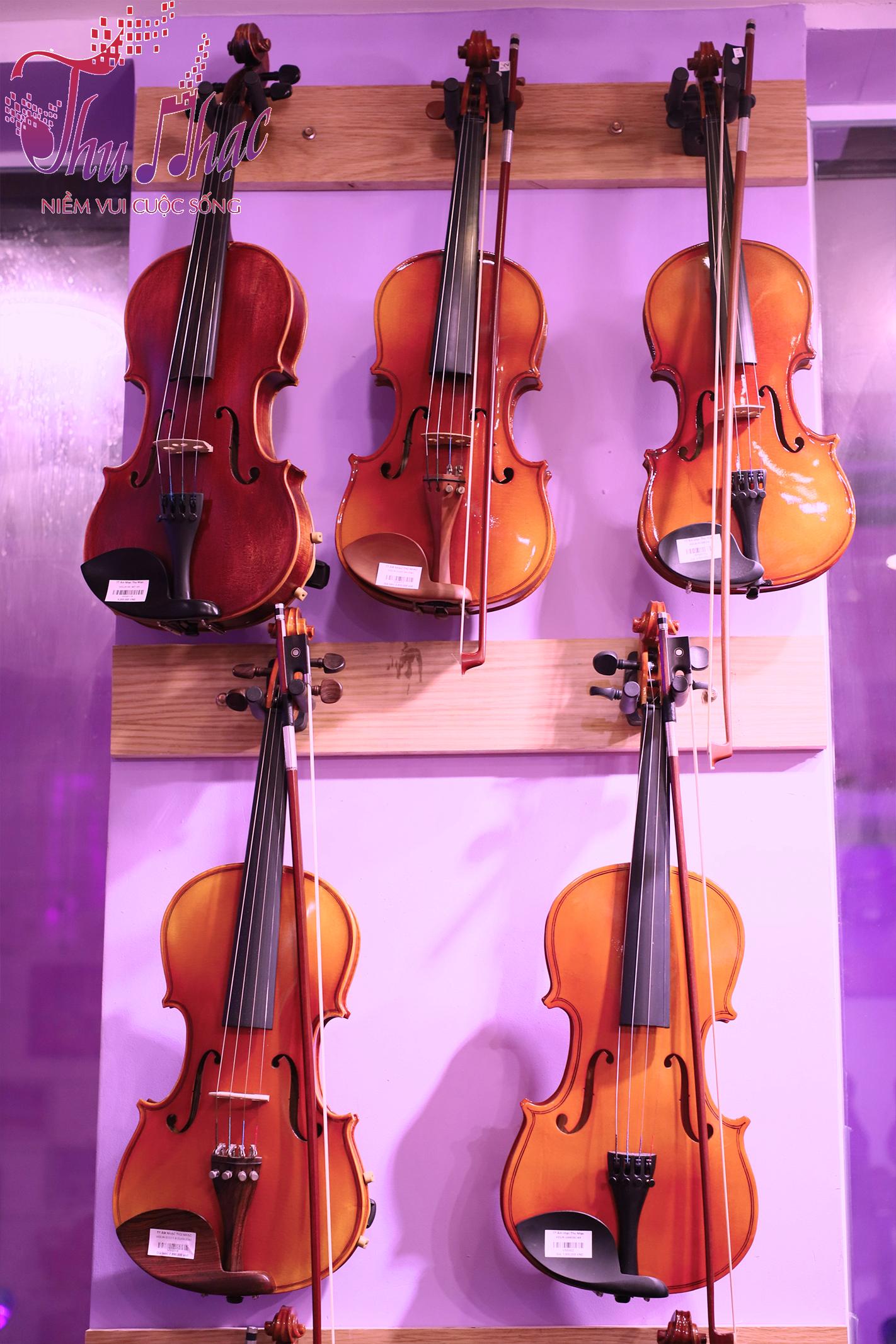 địa điểm cho thuê đàn violin tốt