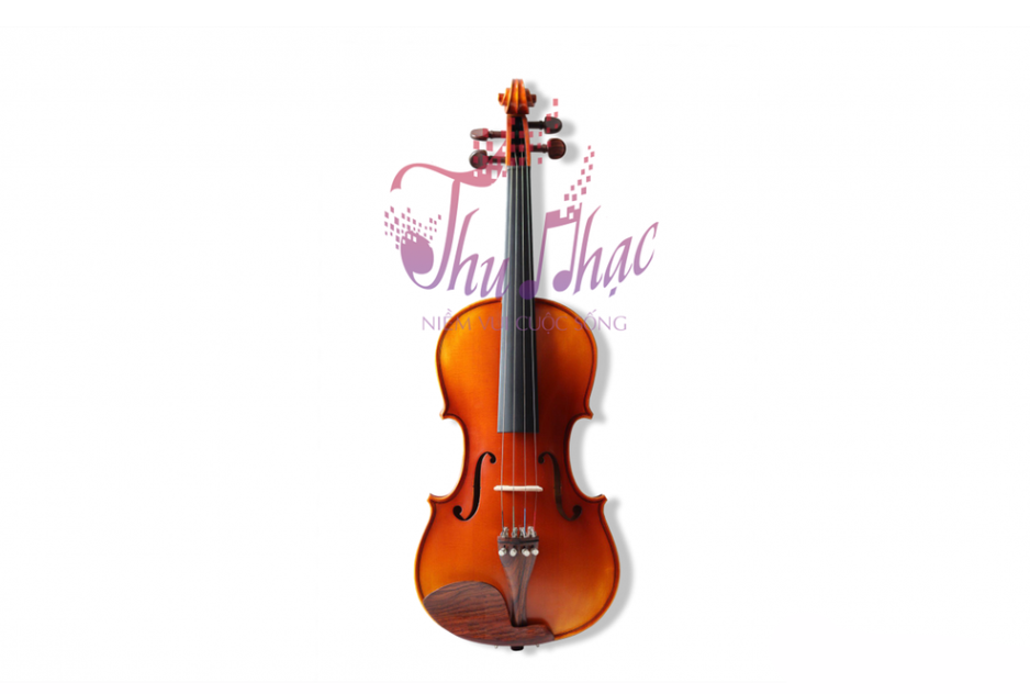Mua đàn violin Scott - Guan uy tín tại Tp. hcm
