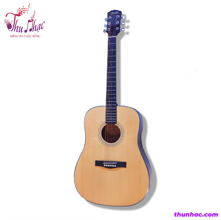 Mua đàn guitar acoustic fender uy tín ở đâu tại Tp. hcm